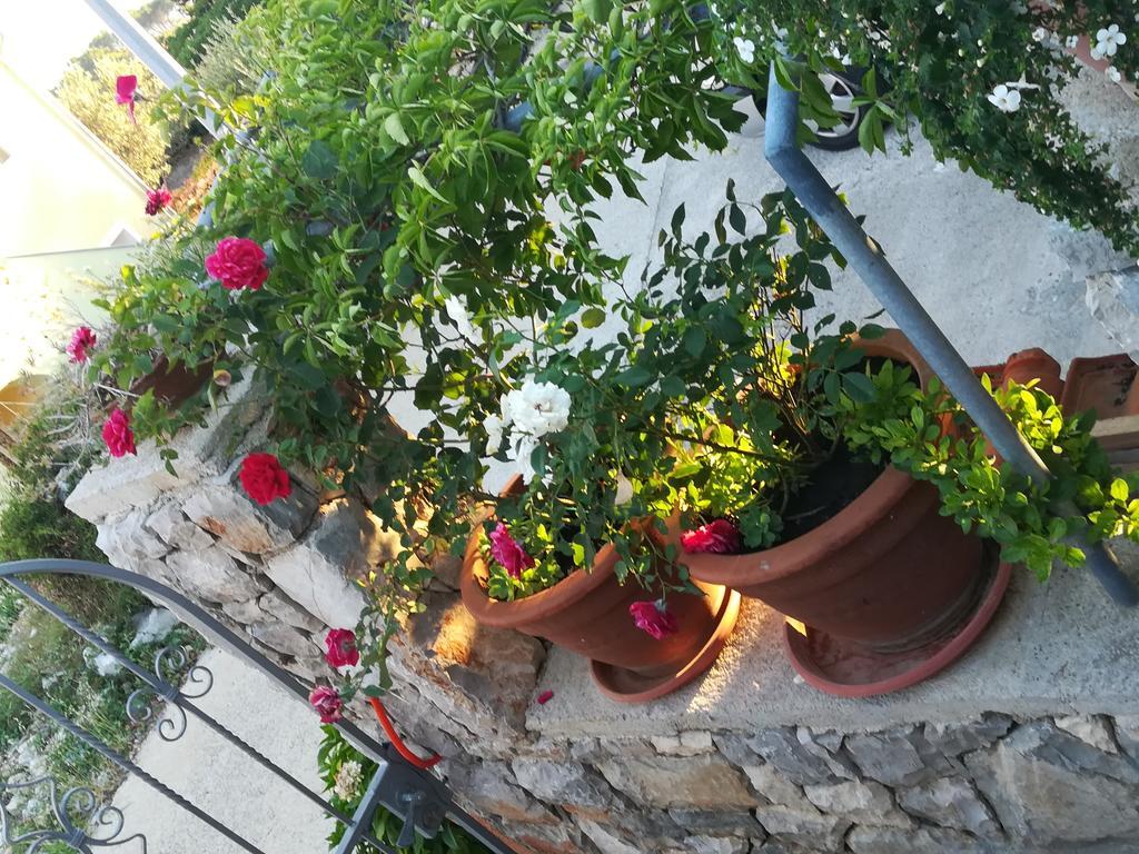 Apartment Neno - Terrace & Parking Lussingrande Esterno foto
