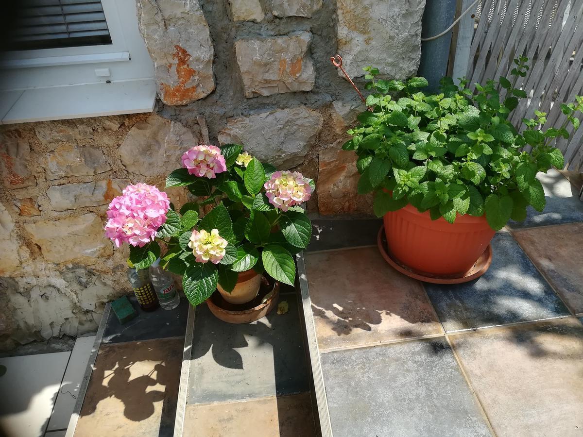 Apartment Neno - Terrace & Parking Lussingrande Esterno foto